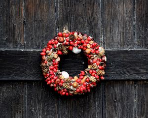 Preview wallpaper wreath, christmas, dogrose, acorns, cones
