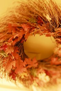 Preview wallpaper wreath, fall, leaves