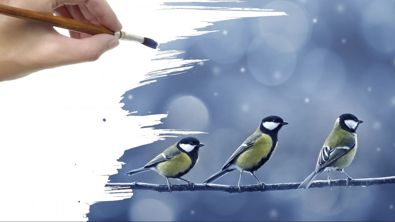 Wallpaper wrist, hand, illustration, branch, tits, birds, snow