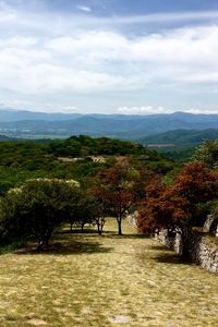 Preview wallpaper xochicalco, village, trees, sky, garden