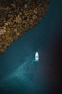 Preview wallpaper yacht, sea, trees, shore, view from above