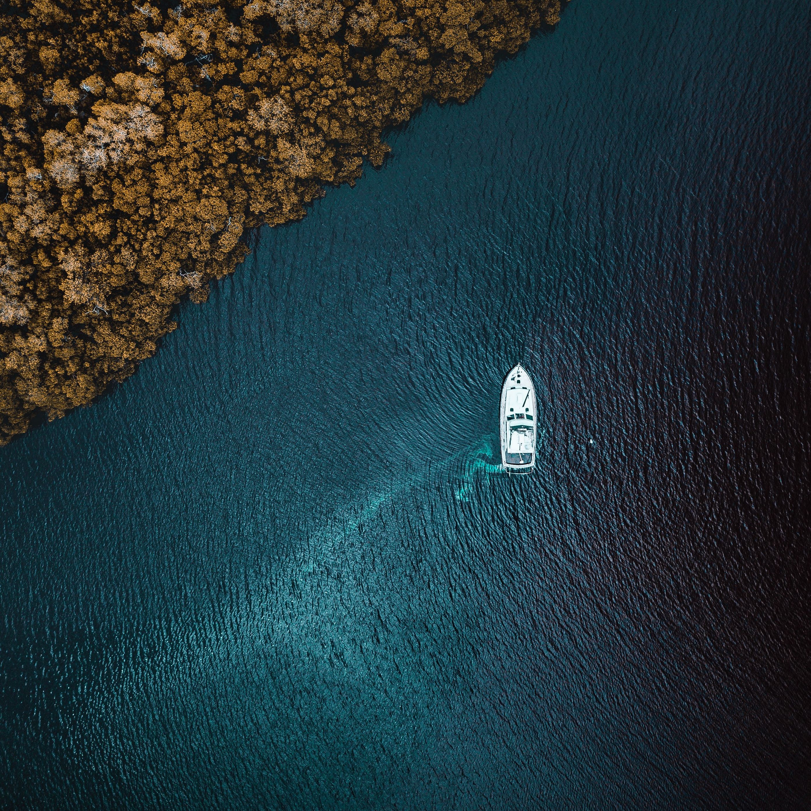 Download Wallpaper 2780x2780 Yacht Sea Trees Shore View From Above Ipad Air Ipad Air 2 Ipad 3 Ipad 4 Ipad Mini 2 Ipad Mini 3 Ipad Mini 4 Ipad Pro 9 7 For Parallax Hd Background