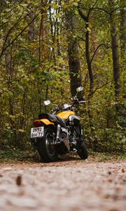 Preview wallpaper yamaha, bike, motorcycle, rear view, motor, forest