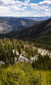 Preview wallpaper yellowstone national park, beartooth highway, mountains, pine trees, nature