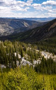 Preview wallpaper yellowstone national park, beartooth highway, mountains, pine trees, nature