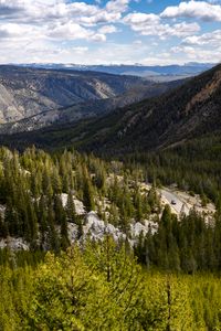 Preview wallpaper yellowstone national park, beartooth highway, mountains, pine trees, nature