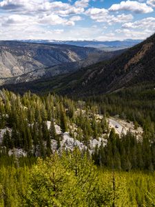 Preview wallpaper yellowstone national park, beartooth highway, mountains, pine trees, nature