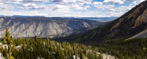 Preview wallpaper yellowstone national park, beartooth highway, mountains, pine trees, nature