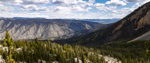 Preview wallpaper yellowstone national park, beartooth highway, mountains, pine trees, nature
