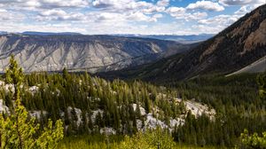 Preview wallpaper yellowstone national park, beartooth highway, mountains, pine trees, nature