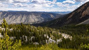 Preview wallpaper yellowstone national park, beartooth highway, mountains, pine trees, nature