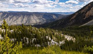 Preview wallpaper yellowstone national park, beartooth highway, mountains, pine trees, nature