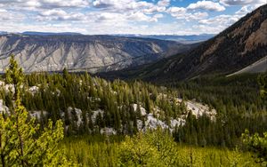 Preview wallpaper yellowstone national park, beartooth highway, mountains, pine trees, nature