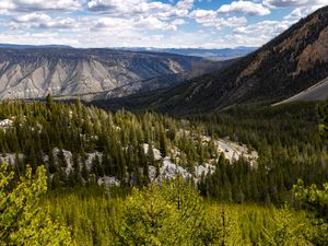 Preview wallpaper yellowstone national park, beartooth highway, mountains, pine trees, nature