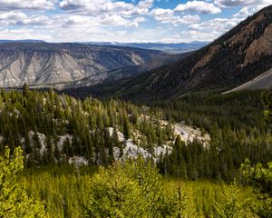 Preview wallpaper yellowstone national park, beartooth highway, mountains, pine trees, nature