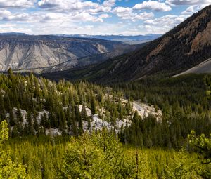 Preview wallpaper yellowstone national park, beartooth highway, mountains, pine trees, nature