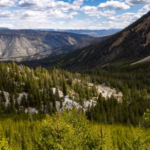 Preview wallpaper yellowstone national park, beartooth highway, mountains, pine trees, nature