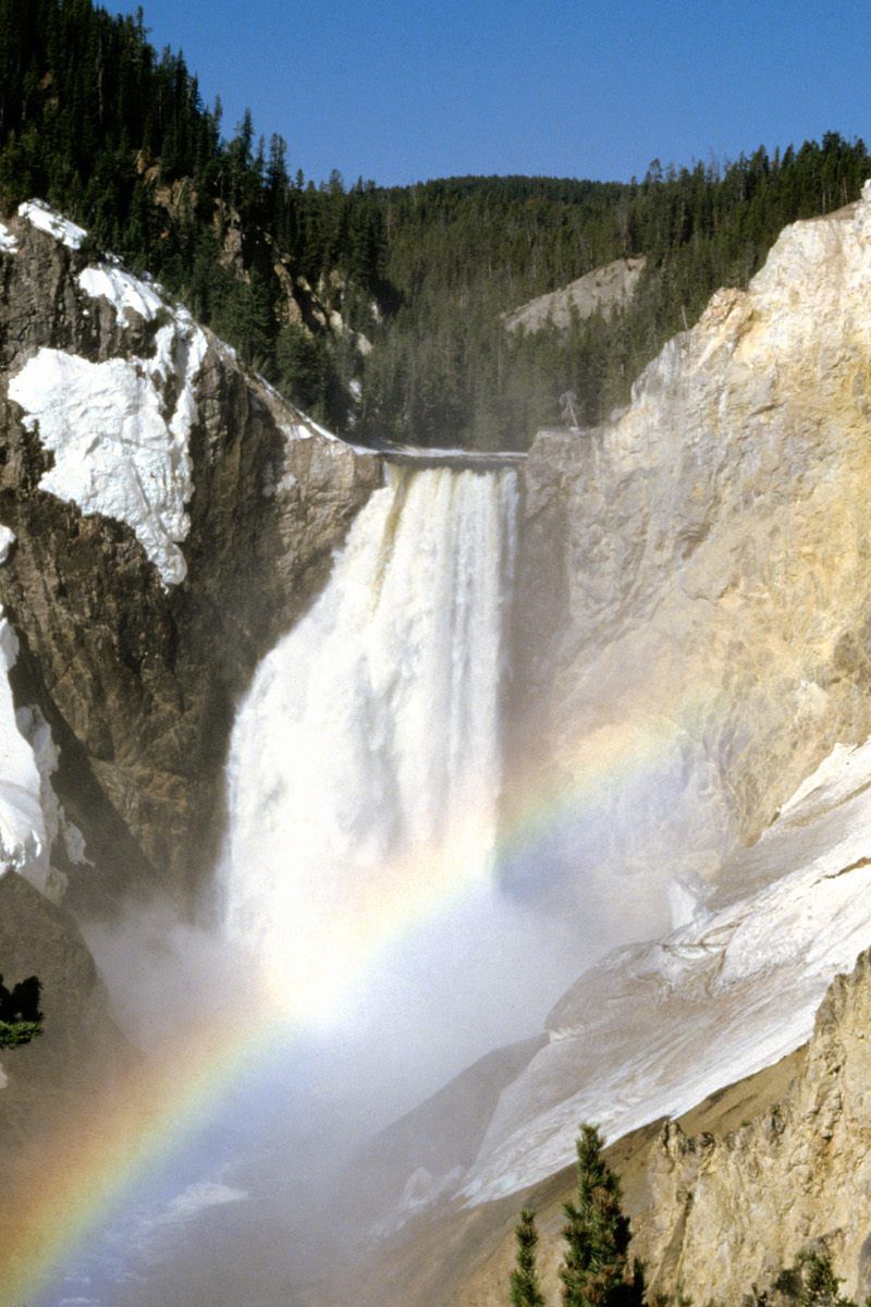 Latest Yellowstone national park iPhone HD Wallpapers  iLikeWallpaper