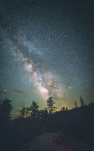Preview wallpaper yosemite valley, starry sky, milky way, stars, night, trees, united states