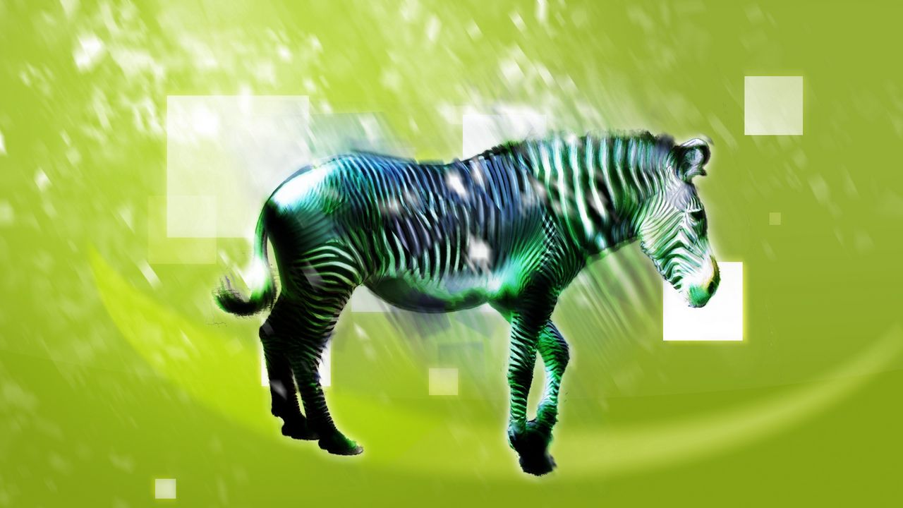Wallpaper zebra, animal, light, pattern
