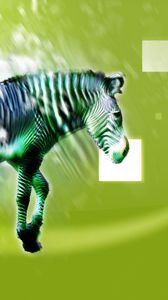 Preview wallpaper zebra, animal, light, pattern