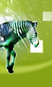 Preview wallpaper zebra, animal, light, pattern