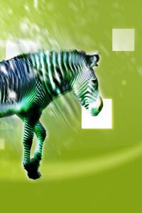 Preview wallpaper zebra, animal, light, pattern