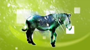 Preview wallpaper zebra, animal, light, pattern
