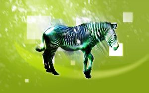 Preview wallpaper zebra, animal, light, pattern