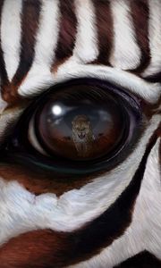 Preview wallpaper zebra, eye, reflection, leopard, predator