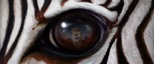 Preview wallpaper zebra, eye, reflection, leopard, predator