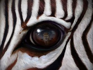 Preview wallpaper zebra, eye, reflection, leopard, predator