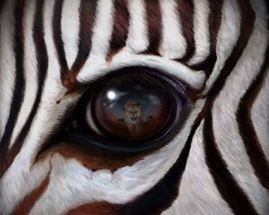 Preview wallpaper zebra, eye, reflection, leopard, predator