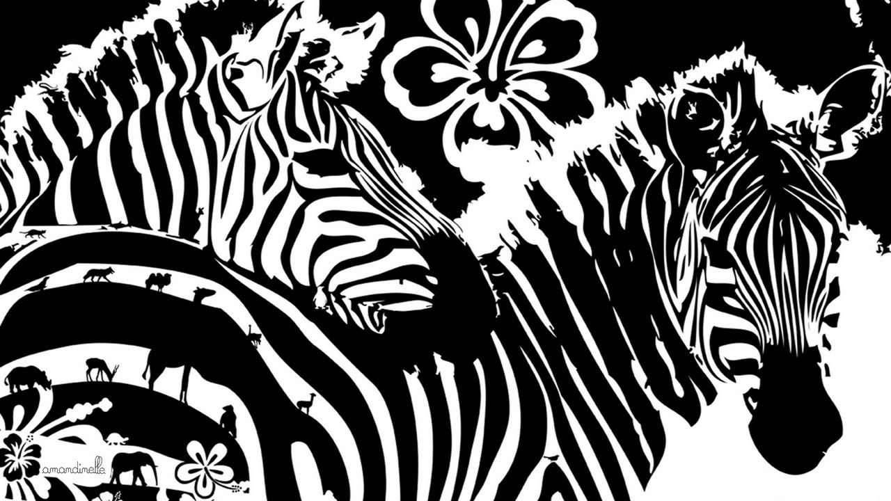 Wallpaper zebra, flowers, lines, graphics
