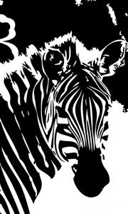 Preview wallpaper zebra, flowers, lines, graphics