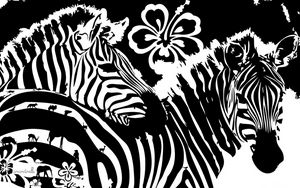 Preview wallpaper zebra, flowers, lines, graphics