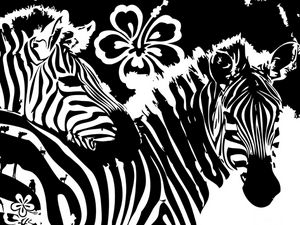 Preview wallpaper zebra, flowers, lines, graphics