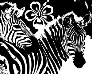 Preview wallpaper zebra, flowers, lines, graphics