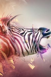 Preview wallpaper zebra, head, bands, explosion, fantasy