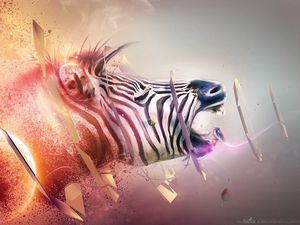 Preview wallpaper zebra, head, bands, explosion, fantasy