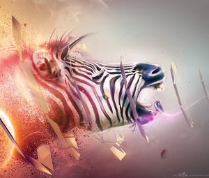 Preview wallpaper zebra, head, bands, explosion, fantasy
