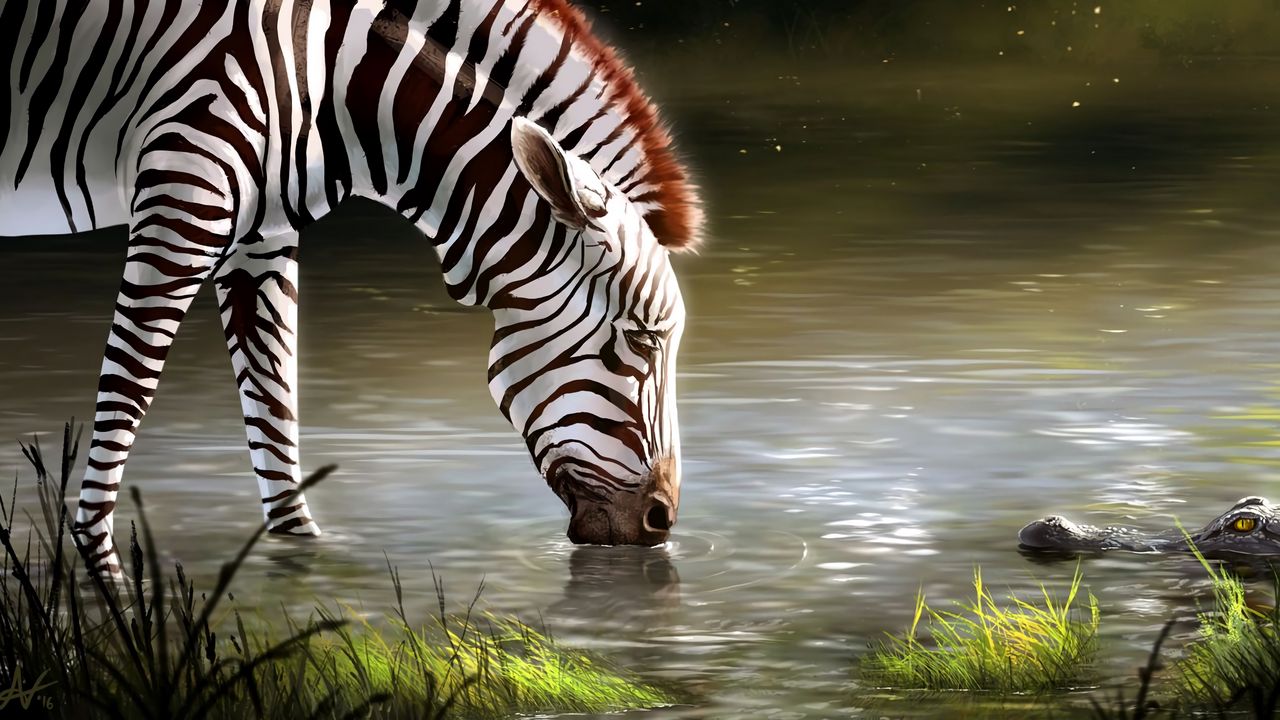 Wallpaper zebra, lake, art, animal, wildlife