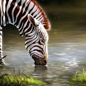 Preview wallpaper zebra, lake, art, animal, wildlife