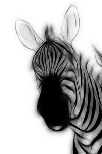 Preview wallpaper zebra, strips, ears