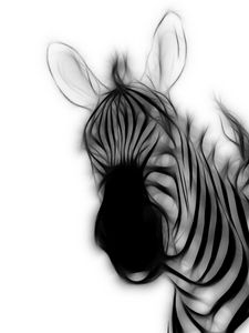 Preview wallpaper zebra, strips, ears