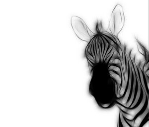 Preview wallpaper zebra, strips, ears