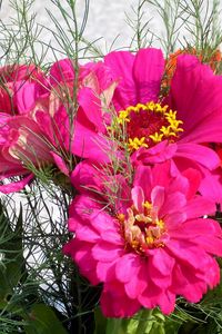 Preview wallpaper zinnias, flowers, bouquet, close-up