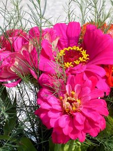 Preview wallpaper zinnias, flowers, bouquet, close-up