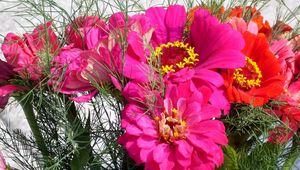 Preview wallpaper zinnias, flowers, bouquet, close-up