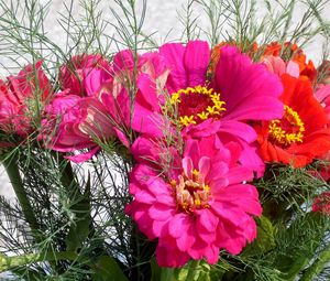 Preview wallpaper zinnias, flowers, bouquet, close-up